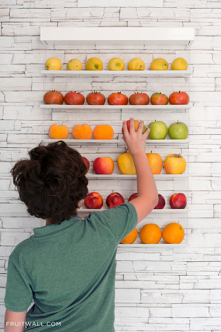 Modern kitchen fruit bowls FRUITWALL