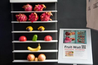 frutero colgante fruitwall frutero moderno diseño fruitwall frutero para colgar fruitwall fruteros de cocina fruitwall fruteros originales fruteros modernos amazon frutero de pared frutero moderno Fruteros modernos de cocina Los mejores fruteros para la cocina fruteros bonitos y decorativos Fruteros modernos blancos