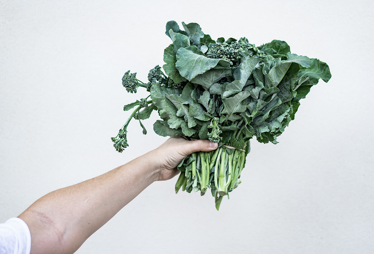 Colores y propiedades de las frutas y verduras. Mano sujetando un manojo de espinacas