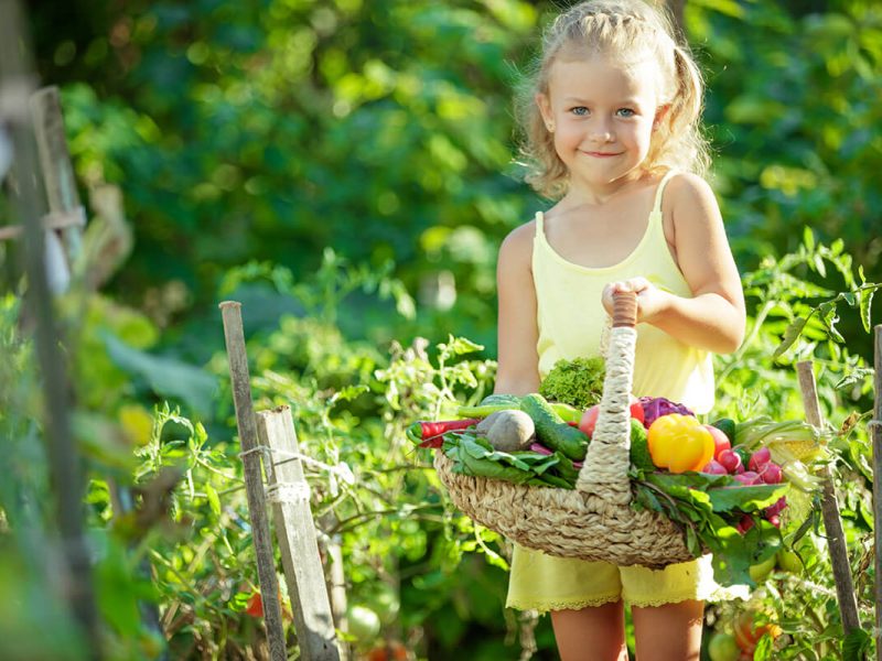 Colores y propiedades de las frutas y verduras. Niña con cesta de frutas y verduras en el campo