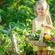 Colores y propiedades de las frutas y verduras. Niña con cesta de frutas y verduras en el campo