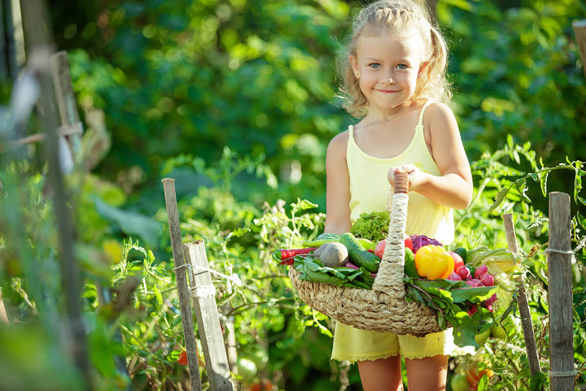 Colores y propiedades de las frutas y verduras. Niña con cesta de frutas y verduras en el campo